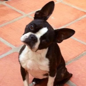 Meet your Posher, Becky